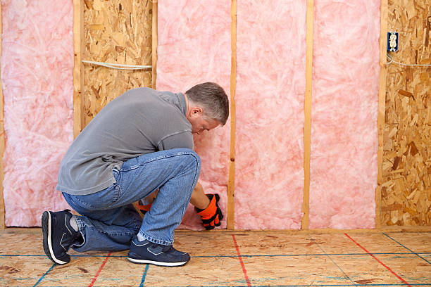 Best Energy Efficiency Solutions in Pocono Springs, PA
